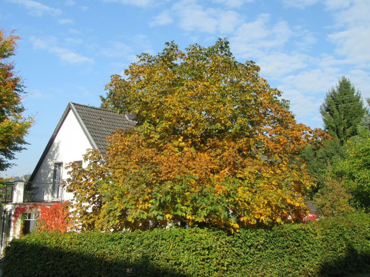 Eifel Gaestewohnung Blankenheim  Exteriör bild